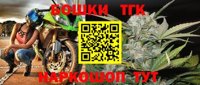индика Славгород
