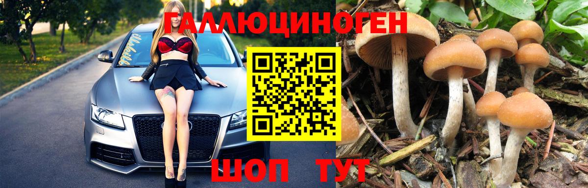 Галлюциногенные грибы GOLDEN TEACHER  Вход с VPN  Первоуральск 